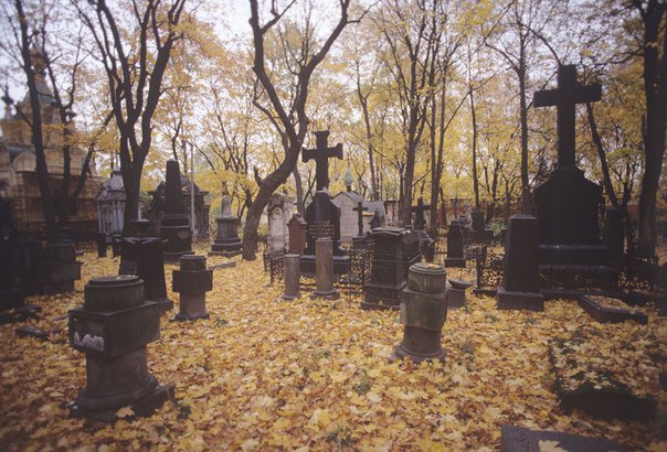Первый проданный участок кладбищенской земли ушел с молотка за 452 тысячи рублей