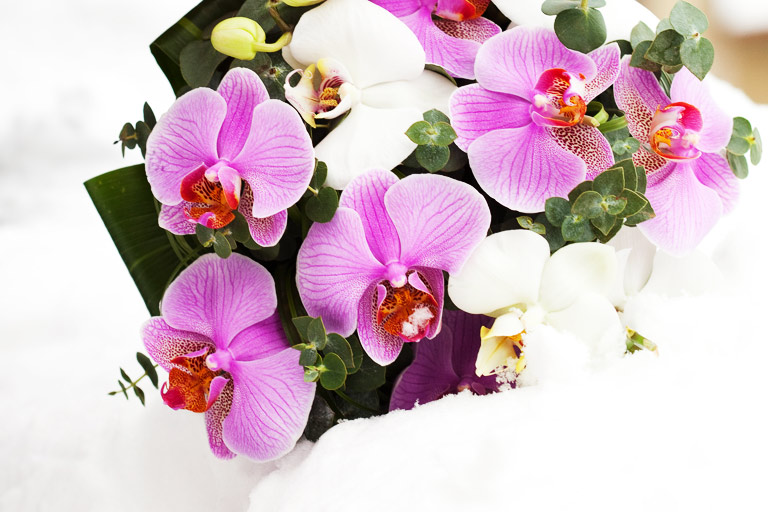 FlowWow: шикарные цветочные композиции от флористов со всей страны