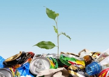 Утилизация отходов от компании 