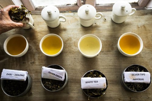 Китайцы локализуют производство чая в Подмосковье