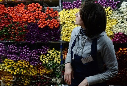 В Москве начали монтировать новые цветочные павильоны