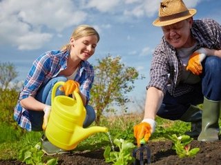 Советы для садоводов и огородников: секрет эффективного обучения